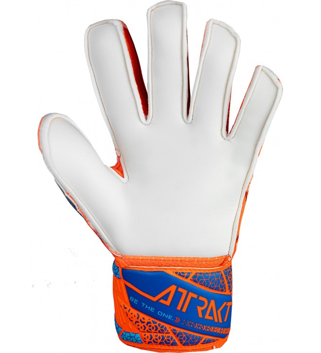 GOALKEEPER GLOVES